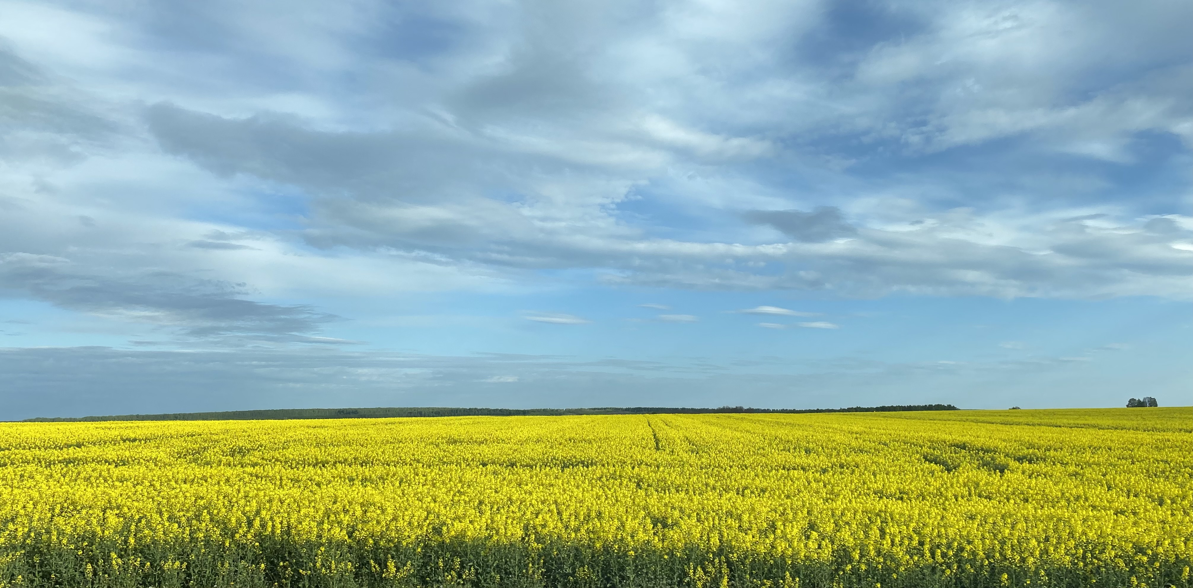 Brucite+ at the International agrochemical scientific and practical conference