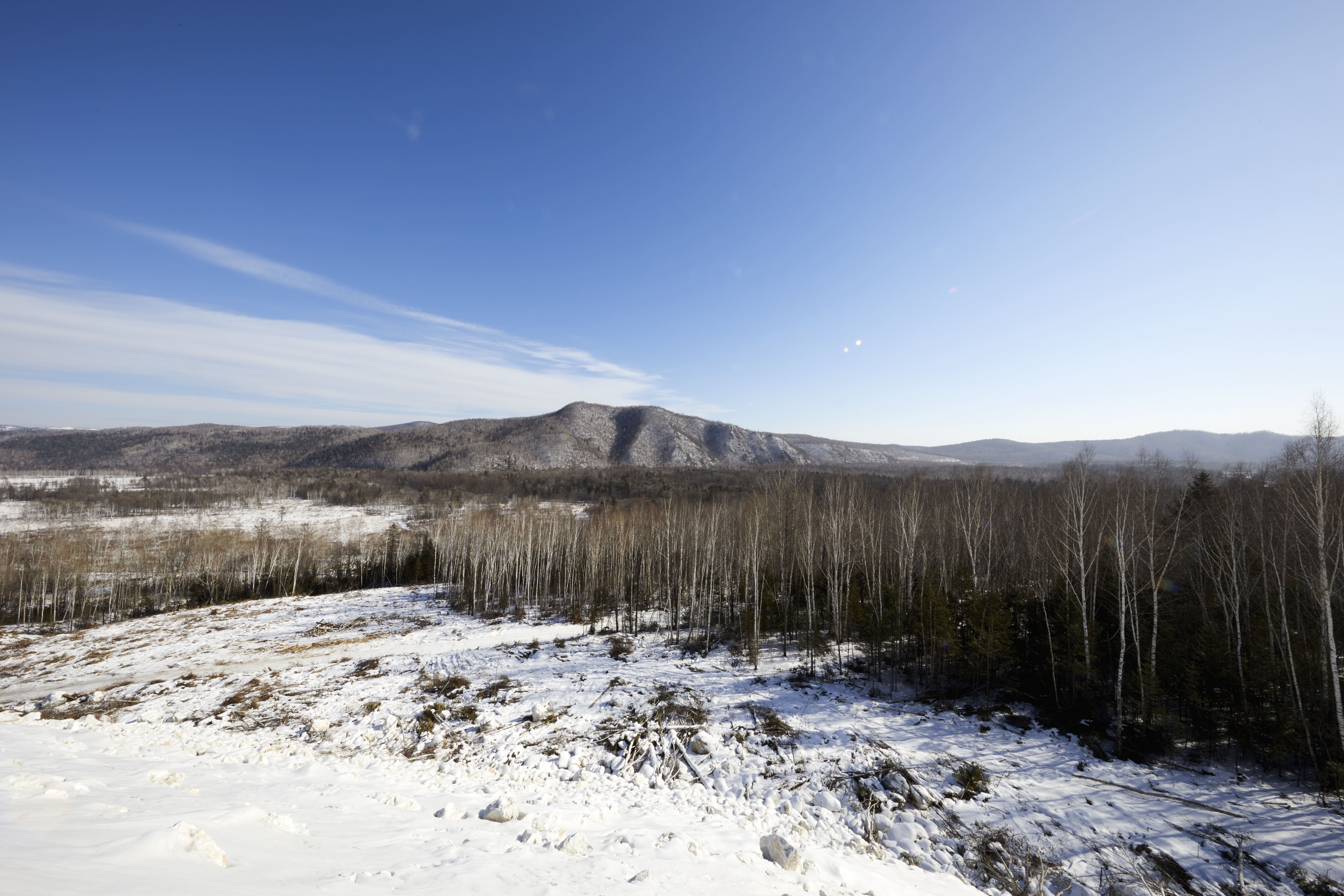 Development of the deposits in the Far East. January 2024. 