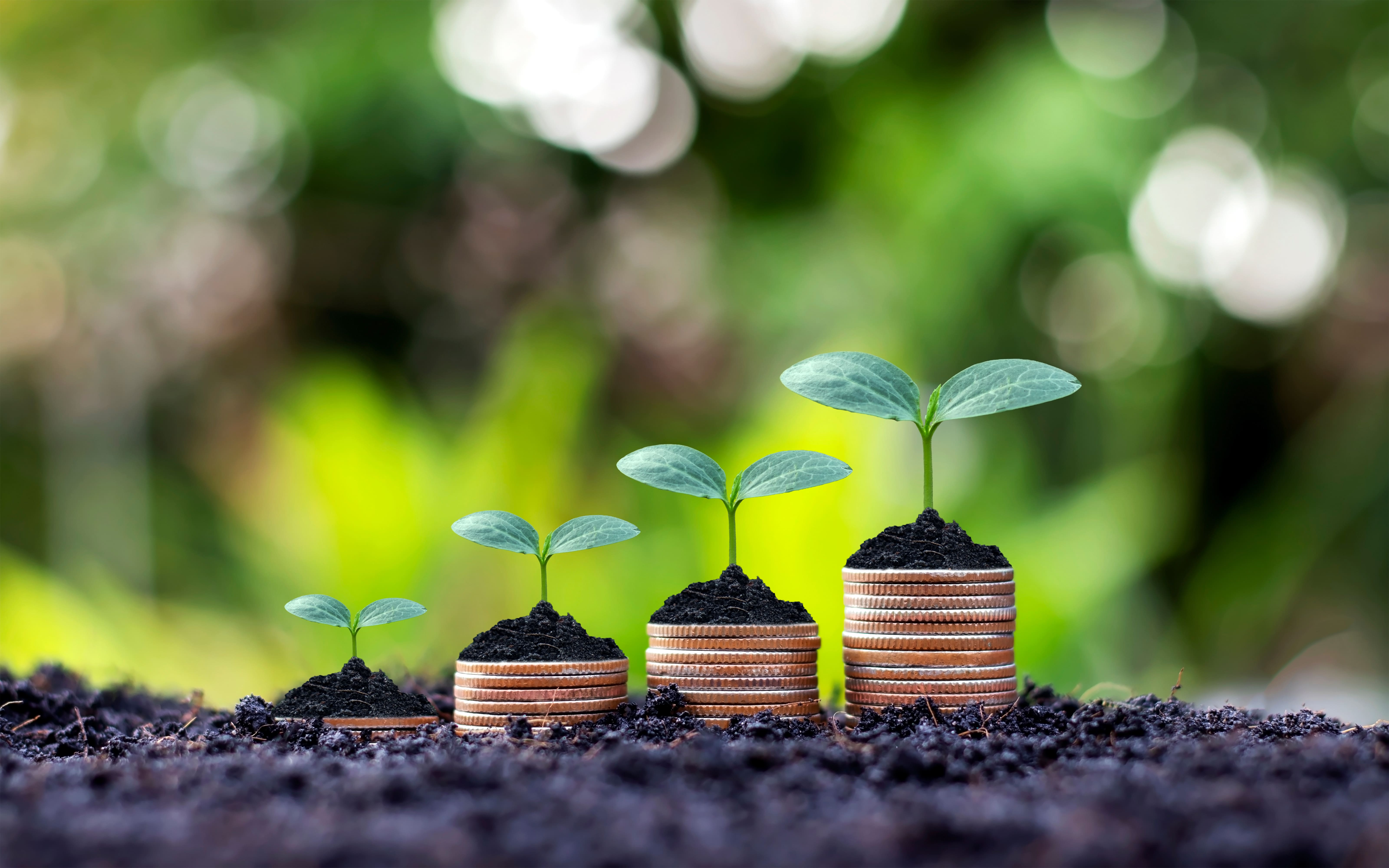 Интервью со специалистами ГК Brucite+: расширение линейки Агромаг® гранулированный